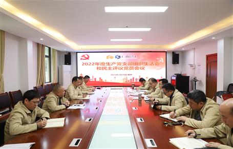 廖立波、唐峰、何勇以普通黨員身份參加所在黨支部2022年度組織生活會